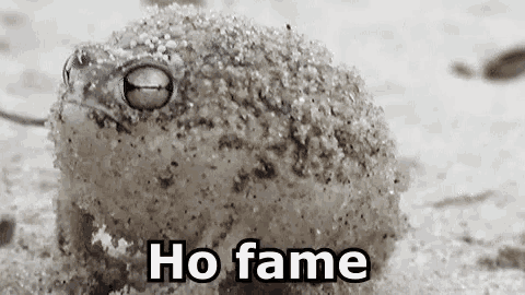 a frog is sitting in the sand with the words `` ho fame '' written on it .