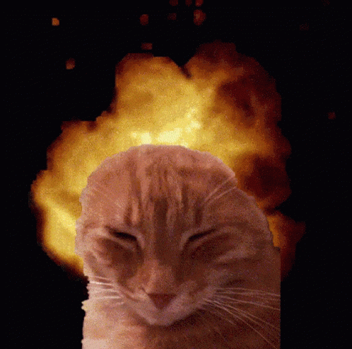 Exploding Cat Goku Il Gatto GIF - Exploding Cat Goku Il Gatto Gatto Esplosivo GIFs