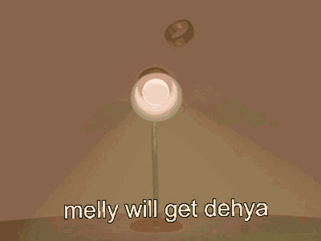 a picture of an open book with a heart shaped shadow and the words melly will get dehya