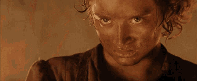Frodo Lord Of The Rings GIF - Frodo Lord Of The Rings Cringe GIFs