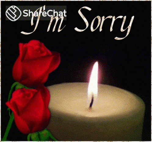 Im Sorry Apologies GIF - Im Sorry Apologies Roses GIFs