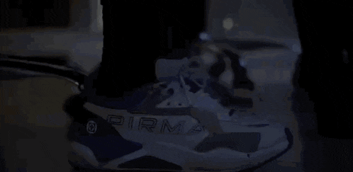 a person wearing a pair of blue and white sneakers with the word pirma on them .