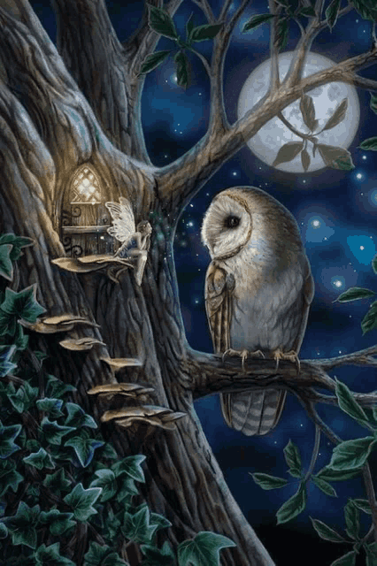 The Owl House Wicca GIF - The Owl House Wicca Wiccan GIFs