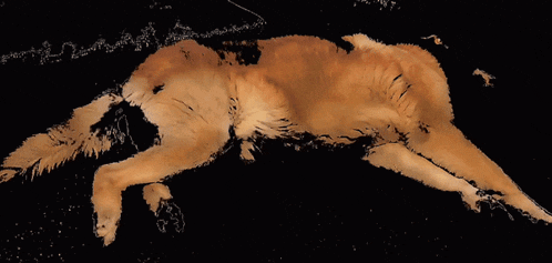 a drawing of a dog laying down with its legs crossed