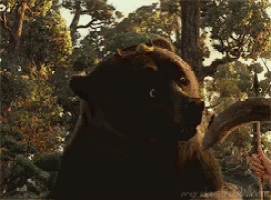 a bear is standing in a forest with trees in the background and a person holding a stick in the foreground