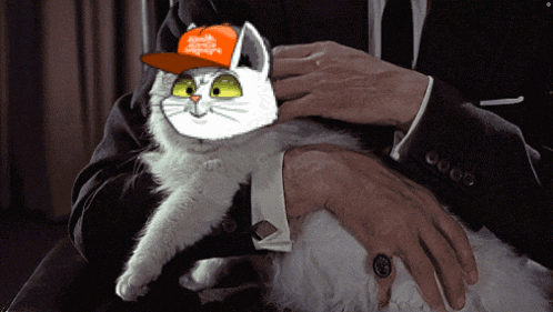 Cat Mars Cats Voyage GIF - Cat Mars Cats Voyage Purr GIFs