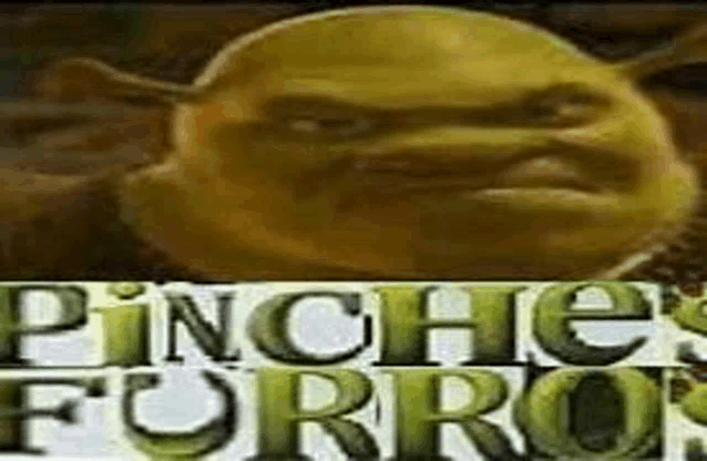 a close up of shrek 's face with the words `` pinchos forros '' behind him .