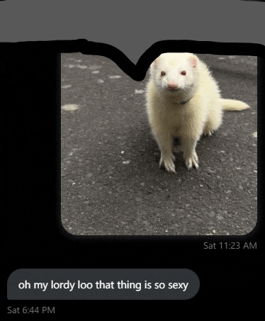 a picture of a white ferret with the text oh my lordy loo that thing is so sexy at the bottom