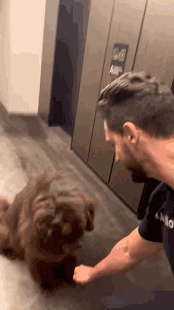 a man petting a brown dog in front of a sign that says elevator