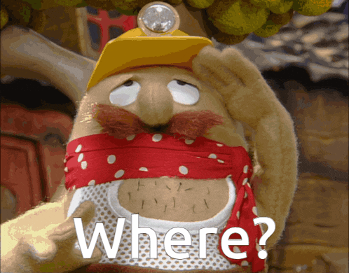 a stuffed animal with a yellow hat and a light on his head is asking where