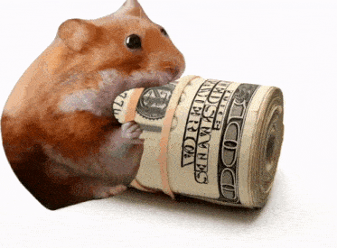 a hamster is holding a roll of united states dollars