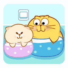 Cats Lights Out GIF