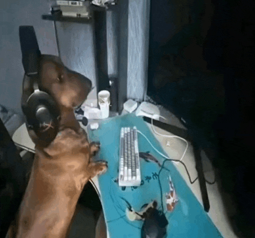 a dog wearing headphones is sitting at a desk with a keyboard and mouse