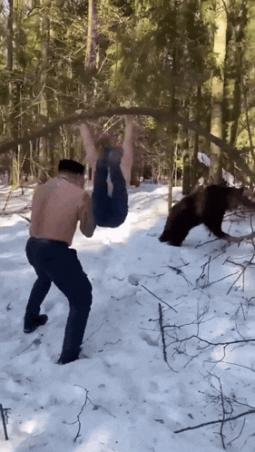 a shirtless man hangs from a tree branch while a bear looks on