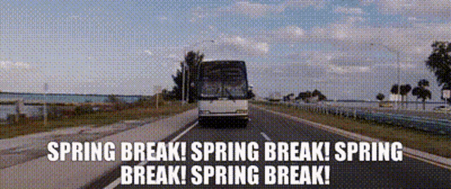 Spring Breakers March Break GIF