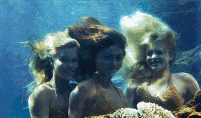 Mako Mermaids Mermaid GIF