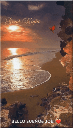 a picture of a beach with the words " good night " on it