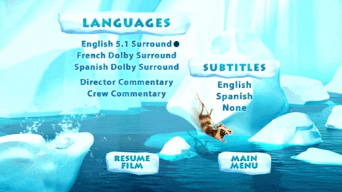a screenshot of a movie menu shows languages and subtitles