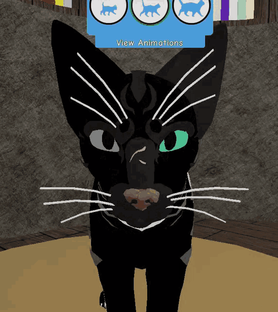 a black cat with green eyes is standing in front of a view animations sign