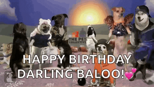 a group of dogs are standing next to each other with the words happy birthday darling baloo