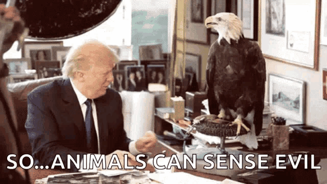 a bald eagle sits on a desk next to a man in a suit and tie who says " so animals can sense evil "