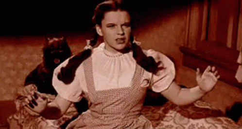 Wizard Of Oz Dorothy GIF - Wizard Of Oz Dorothy Judy Garland GIFs