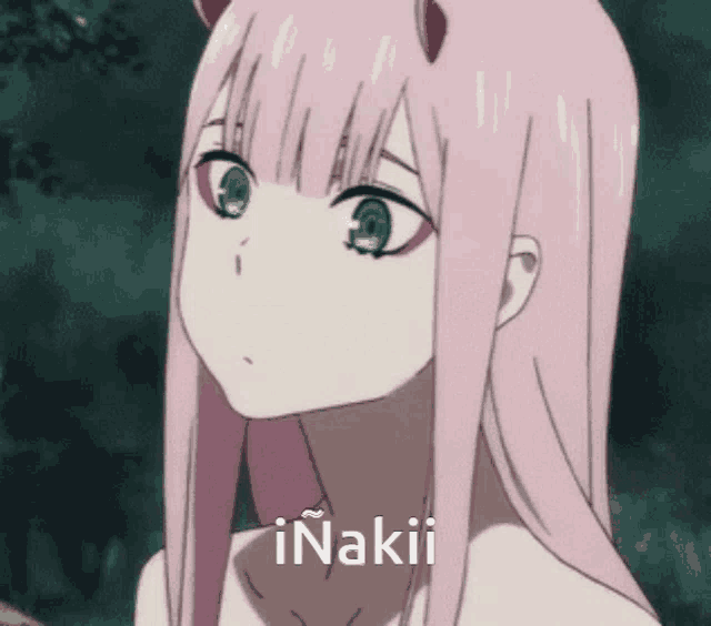 a picture of a girl with pink hair and green eyes with the word inakii below her