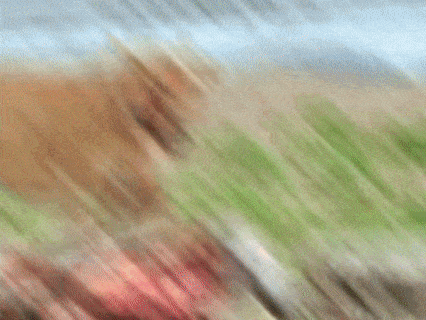 a blurry picture of a lion eating a piece of meat