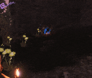 a person standing in front of a fire with a purple watermark that says ' lee nice '
