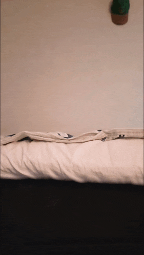 a cactus is sitting on a bed with a blanket on it