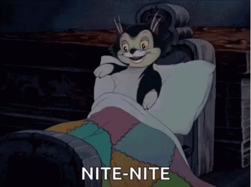 Bed Time Cat GIF - Bed Time Cat Sleepy GIFs