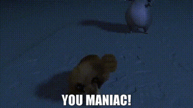 a stuffed animal with the words `` you maniac '' written on it .