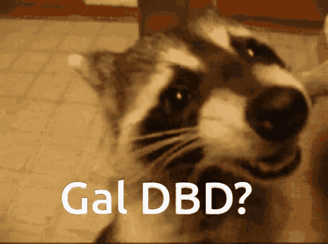 a raccoon is looking at the camera with the words gal dbd below it