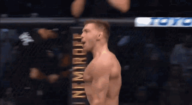 South Africa GIF - South Africa Ufc GIFs