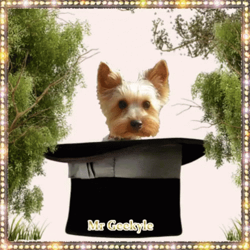 Mr Geekyle Dog GIF - Mr Geekyle Dog Wink GIFs