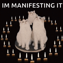three white cats are surrounded by lit candles with the words im manifesting it