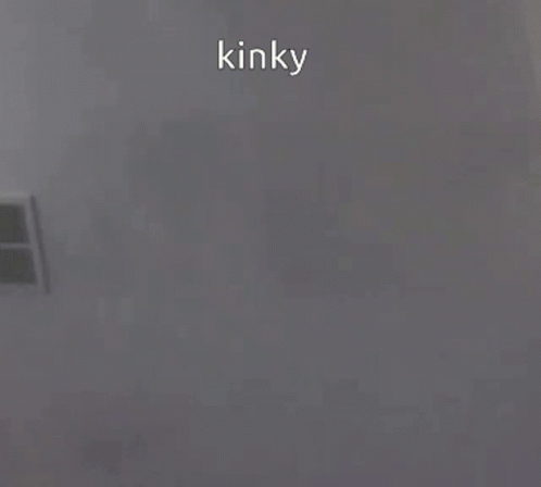Kinky Cat GIF - Kinky Cat Aura GIFs