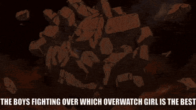 a poster that says ' the boys fighting over which overwatch girl is the best ' on it