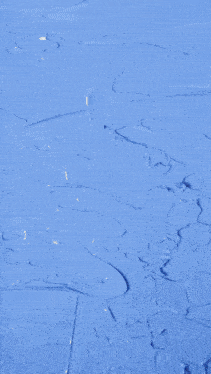 a painting of a woman 's face is displayed on a blue wall