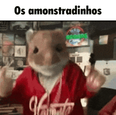 a picture of a hamster wearing a red shirt with the words os amonstradinhos on it