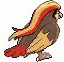 a pixel art drawing of a bird with a long tail and a red tail .