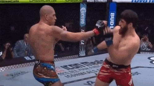 two men are fighting in a boxing ring with a budweiser sign in the background