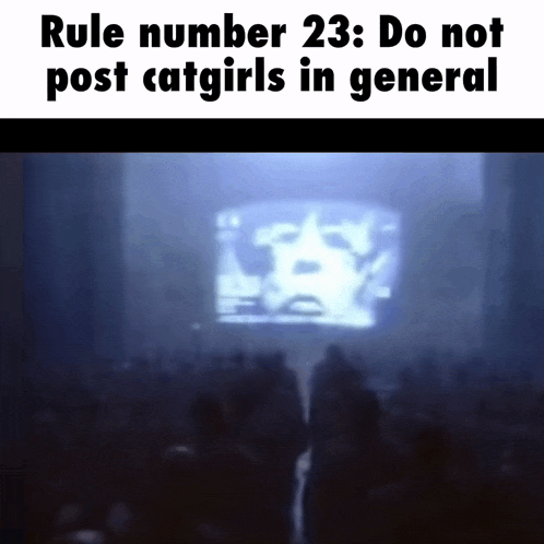 rule number 23 do not post catgirls in general is written on a screen