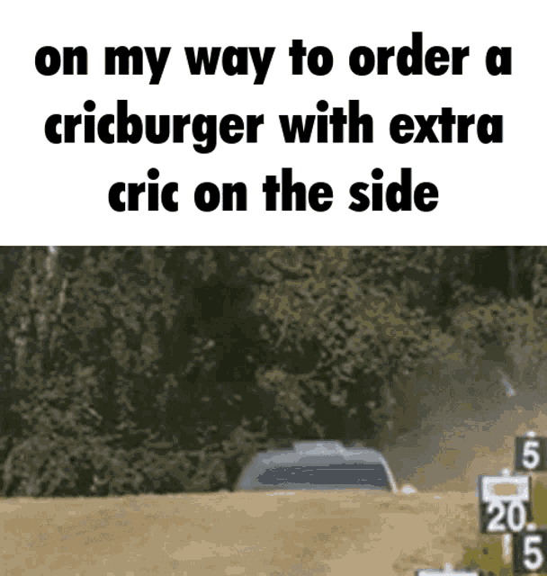 on my way to order a cricburger with extra cric on the side .