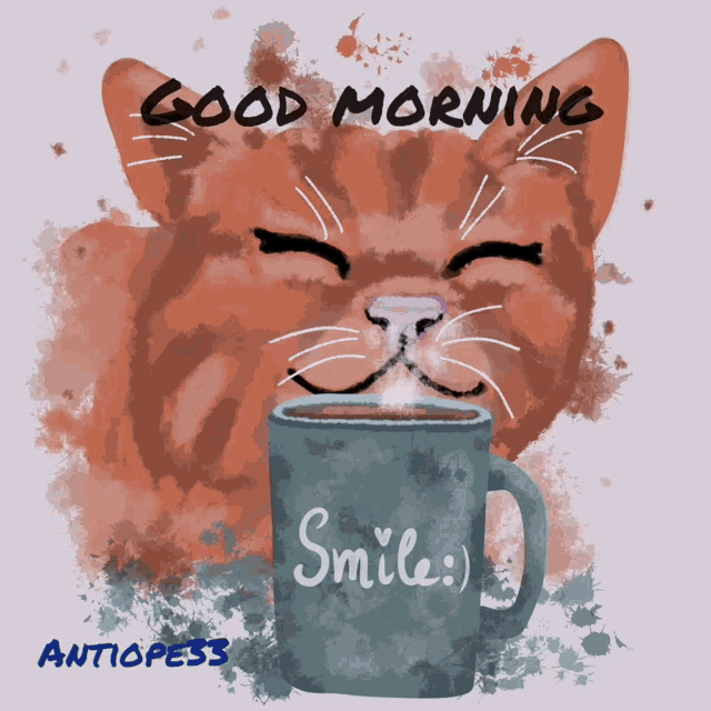 Good Morning Cat GIF - Good Morning Cat Coffee GIFs