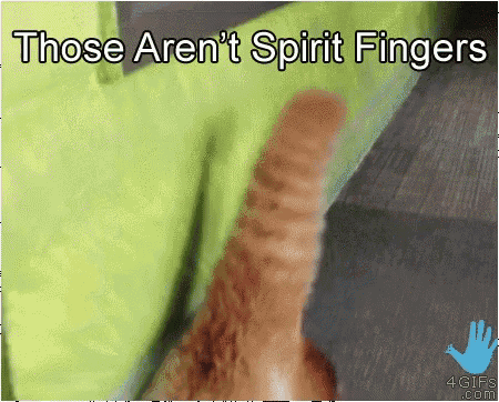 a cat 's tail is shown with the words those aren 't spirit fingers