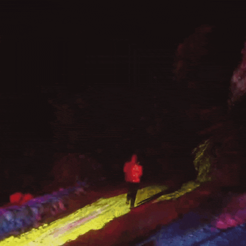 a blurry picture of a person walking down a path at night