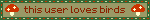 this user loves birds blinkie