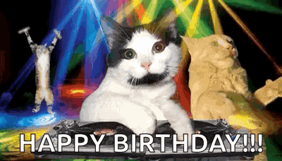 a black and white cat is sitting on a turntable with the words happy birthday written below it