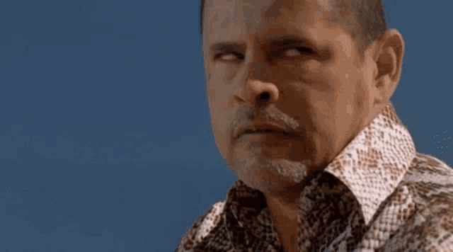 a man wearing a snakeskin shirt is looking at the camera .